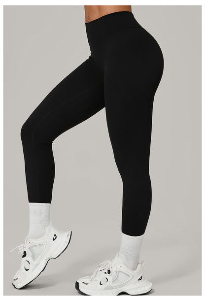 PL-009 Seamless Leggings